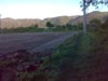 CLICCA QUI PER VEDERE LA FOTO INGRANDITA